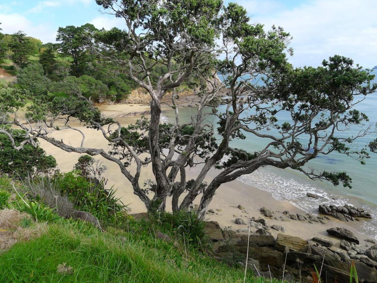 Anglers Lodge Coromandel Экстерьер фото